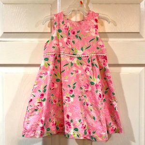 Pink crown & ivy dress